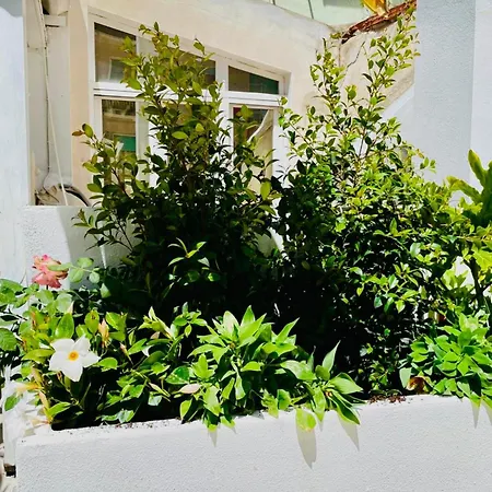 Apartment Le Paris Cagliari